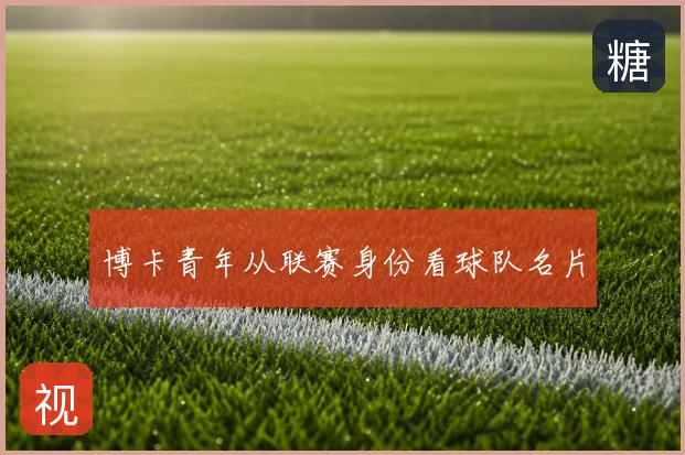 博卡青年从联赛身份看球队名片