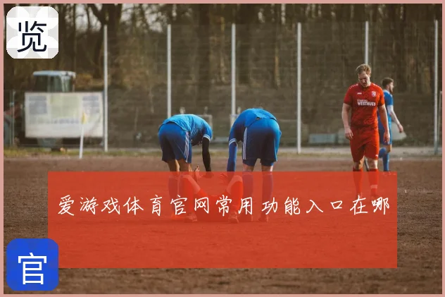 爱游戏体育官网常用功能入口在哪